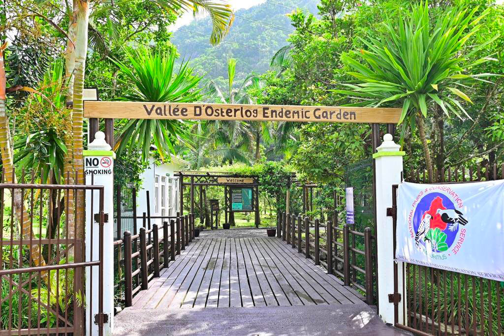 Le jardin endémique de la Vallée d'Osterlog rouvre ses portes pour la Journée mondiale des zones humides